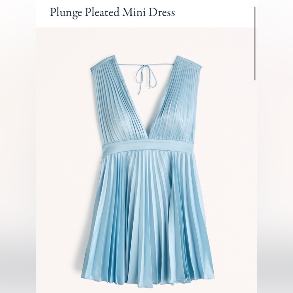 Abercrombie Pleated Plunge Minidress